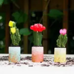 Riciclo creativo: ecco perché è così importante