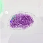 Salute del cervello: le abitudini quotidiane che possono fare la differenza